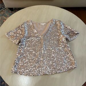 Socialite Pink Sequin Flutter Sleeve Blouse